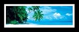 Filalhohi Island, Maldives (Palm Trees Over Water) Black Wood-Mounted Art Poster Print - 12 X 36