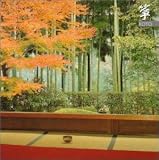 箏 市村綾能