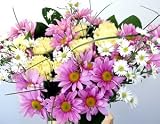 Splash of Daisies Fresh Flower Bouquet