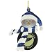 SC Sports Washington Capitals Striped Snowman Puck Ornament 2-pack