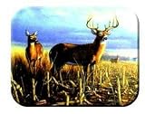 Tuftop Tempered Glass Kitchen Board, Wildlife Collection - Deer, Local Legend
