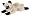 35cm  Siamese Cat
