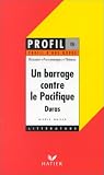 Un barrage contre le Pacifique
