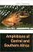 Amphibians of Central and Southern Africa (Comstock Books in Herpetology)