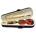 New 4/4 Full Size Student Violin