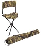 Collapsible Stool W/back
