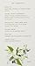 Eminence Neroli Age Corrective Eye Serum, 1 Ounce