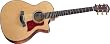 Taylor Guitars 714ce Grand Auditorium Acoustic Electric Guitar