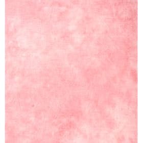 ePhoto W024 6x9 Foot Muslin Back Drop
