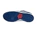 Nike Men's Dunk Low Pro IW Skate Shoe