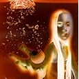 Paths 1-7 Lifeforms