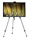 Solabela® Floor Easel with Carrying Case