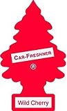 CAR FRESHNER 10311