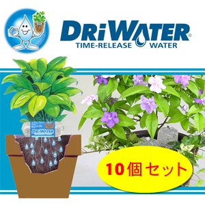 植物にお水をあげる手間を省きます【ドライウォーター10個セット】
