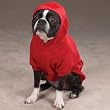 SMALL - RED - Soft, Colorful Dog Sweatshirt