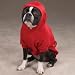 SMALL - RED - Soft, Colorful Dog Sweatshirt