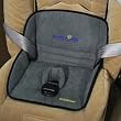 Sunshine Kids Dry Seat Waterproof Protector