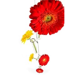 Blumen-Vasen SET (MC008) mit 5 Reagenzgl�ser am Seil