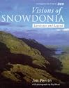 Visions of Snowdonia