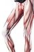 Roseate Women's 3D Digital Print Leggings Workout Running Tights Human Muscles Multicoloured