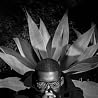 Image of Flying Lotus