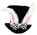 Search: White Rabbit Hat Search: White Rabbit Hat