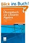 �bungsbuch zur Linearen Algebra: Aufgaben und L�sungen (vieweg studium; Grundkurs Mathematik)