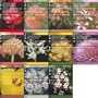 Beautiful Flowers Pack #3