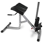 BodyCraft F670 Hyper-Extension / Roman Chair