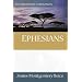 Ephesians: An Expositional Commentary