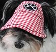Dog Sun Visor in Red for Dogs 10 Lbs and under