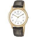 Citizen Mens Watch BI0732-01A