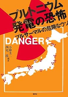 プルトニウム発電の恐怖―プルサーマルの危険なウソ