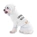 Harmonicas Rock Hooded (Hoody) T-Shirt with pocket for your Dog or Cat SMALL White