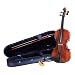 Maestro 4/4 Size Violin With Case - MVK441