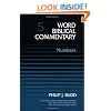 Word Biblical Commentary Vol. 5, Numbers  (budd), 446pp