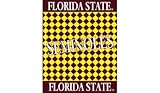 Florida State Seminoles Acrylic Afghan