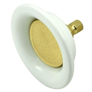 Polished Brass 6.5" Sunflower Showerhead