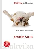 Smooth Collie