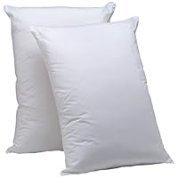 Aller-Ease Hot Water Washable Allergy Pillow,Queen, Firm