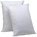 Aller-Ease Hot Water Washable Allergy Pillow, Queen, Medium