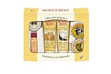 UPC 792850009127 product image for Burt's Bees Tips and Toes Kit | upcitemdb.com