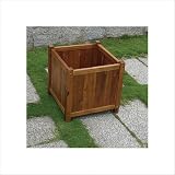 41Hb kFMuwL. SL160  Place Veni Flower Box