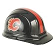 NHL Hard Hat
