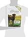 Instinct Raw Boost Grain Free Lamb & Salmon Meal Formula Natural Dry Dog Food By Nature'S Variety, 4.1 Lb. Bag