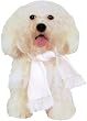 White Scarf - Medium
