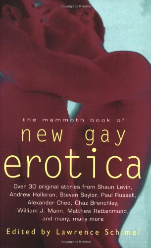the mammoth book of new gay erotica