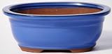 BuyBonsai's Bonsai Pot 8.25  Oval Glazed Blue