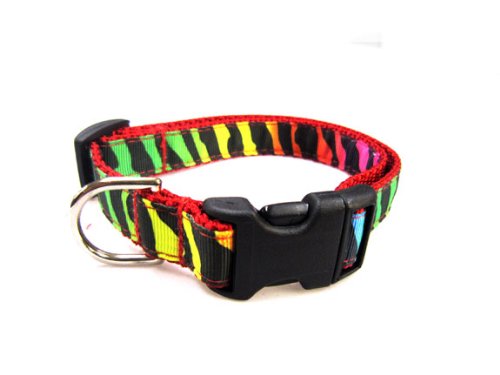 Image #1 of Medium RainbowZebra Dog