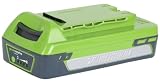Greenworks 29312 24-Volt 2 Amp Hour Lithium Ion Battery